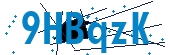 recaptcha